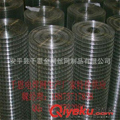 【誠信廠家供應】大絲電焊網 圈玉米的網 通風透氣-安平縣千恩金屬絲網制品提供【誠信廠家供應】大絲電焊網 圈玉米的網 通風透氣的相關介紹、產品、服務、圖片、價格安平縣千恩金屬絲網制品、護欄網;鋼格板;鋼板網;石籠網;荷蘭網;美格網;沖孔網;隔離柵;塑料網;不銹鋼網;防風抑塵網;聲屏障;刀片刺繩;過濾網;電焊網;土工格柵;金剛網;軋花網;勾花網;防護網